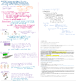 American Heritage Reading PF - Pg 29-42 and Lecture 6