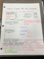 STATS Chapter 4 Notes
