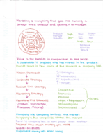 Unit 1 Study Guide