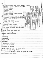 Week 3 Notes