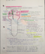 Lecture 4 Notes