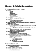 Chapter 7 Biology Notes