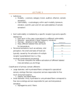 anat 321 set 2 