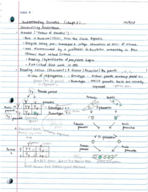 ANTH 1500 Chapter 3 Notes (Understanding Genetics)
