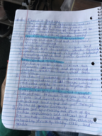 Week 7 Notes