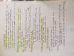 week 5 notes