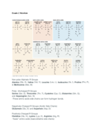 Exam 2 review