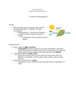 Biology, Week 6 Notes