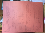 Study Guide 1