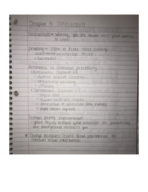 Chapter 4 psych notes