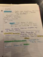 Psy 150 October 1, 2018 Notes