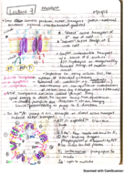 BIOL 121 Week 3 Notes