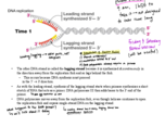 BIOL 121 Week 5 Notes