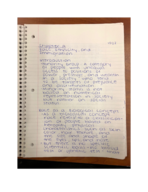 SOC 206 Week 6 Notes