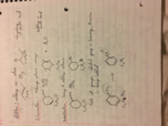 Exam 2 Study guide