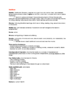 World Rel Exam 2 study guide