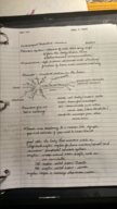 Psych 1010 