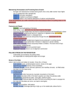 Human Anatomy Exam 2 Study Guide