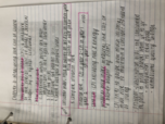 Economics Class Notes