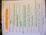 Culture & Society, Study Guide 2
