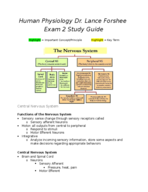 Exam Two Study Guide 