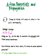BIO132, week 6