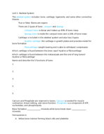 Unit 5 Skeletal system
