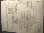 Unit 2 Notes Ch 5-7