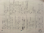 chapter 4 notes