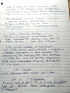 Bio 111 notes for Exam 1