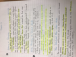 Intro to criminal justice 