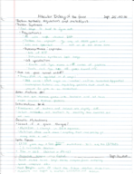 Week 6 Notes