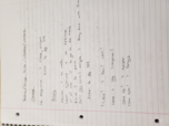 Midterm Spanish Studyguide