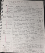 chem 1a week 1 notes