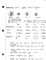 Principles of Astronomy, Week 8 Notes