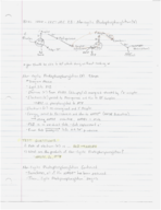 Week 8 Intro to Biology Notes