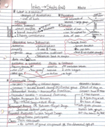 Intro to stats 
