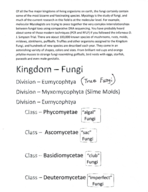 Fungi bio
