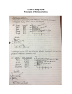 Principles of Microeconomics Study Guide #2