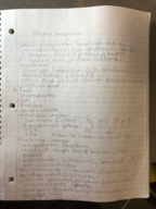 Honors Biology Week 5 Notes