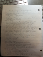 Honors Biology Week 8 Notes