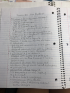 Week 5