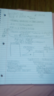 Biology 110, Week 4-5 Notes