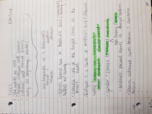 American Politics and Social History I 