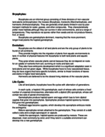 Unit 5 Notes - The Spore Plants