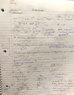 O-Chem Week 2