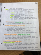 Week 7 Notes