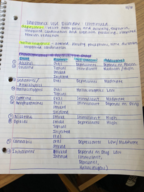 Week 8 Notes