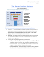 PSYC 3300 Exam 2 Study Guide