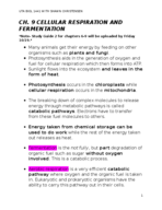 Chapter 9 Cellular Respiration and Fermentation